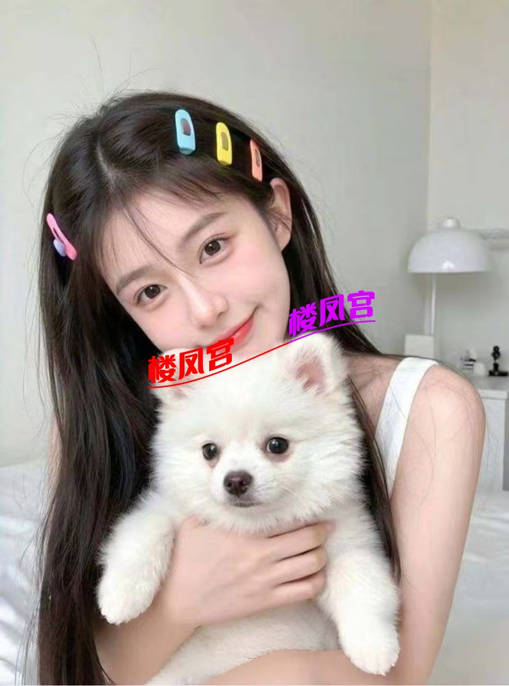 微信图片_20250709063038.jpg
