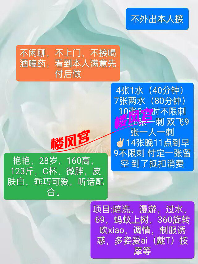 IMG_0206.png
