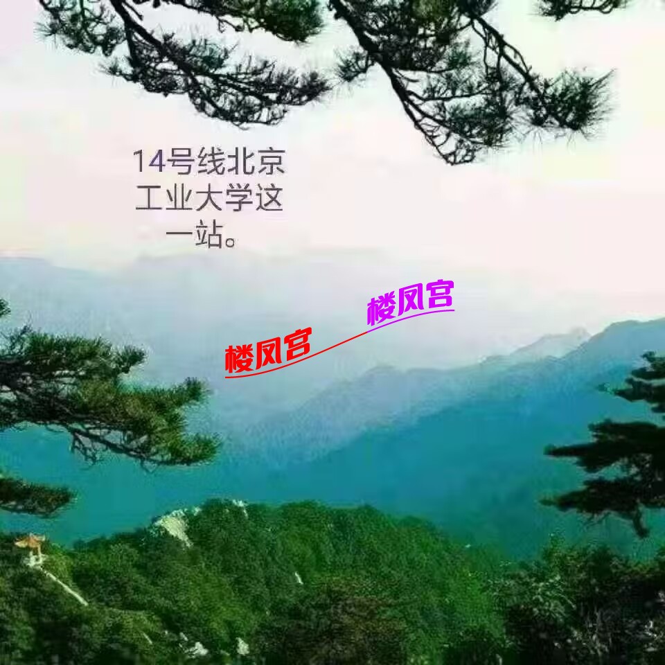 Image_1755177824552.jpg