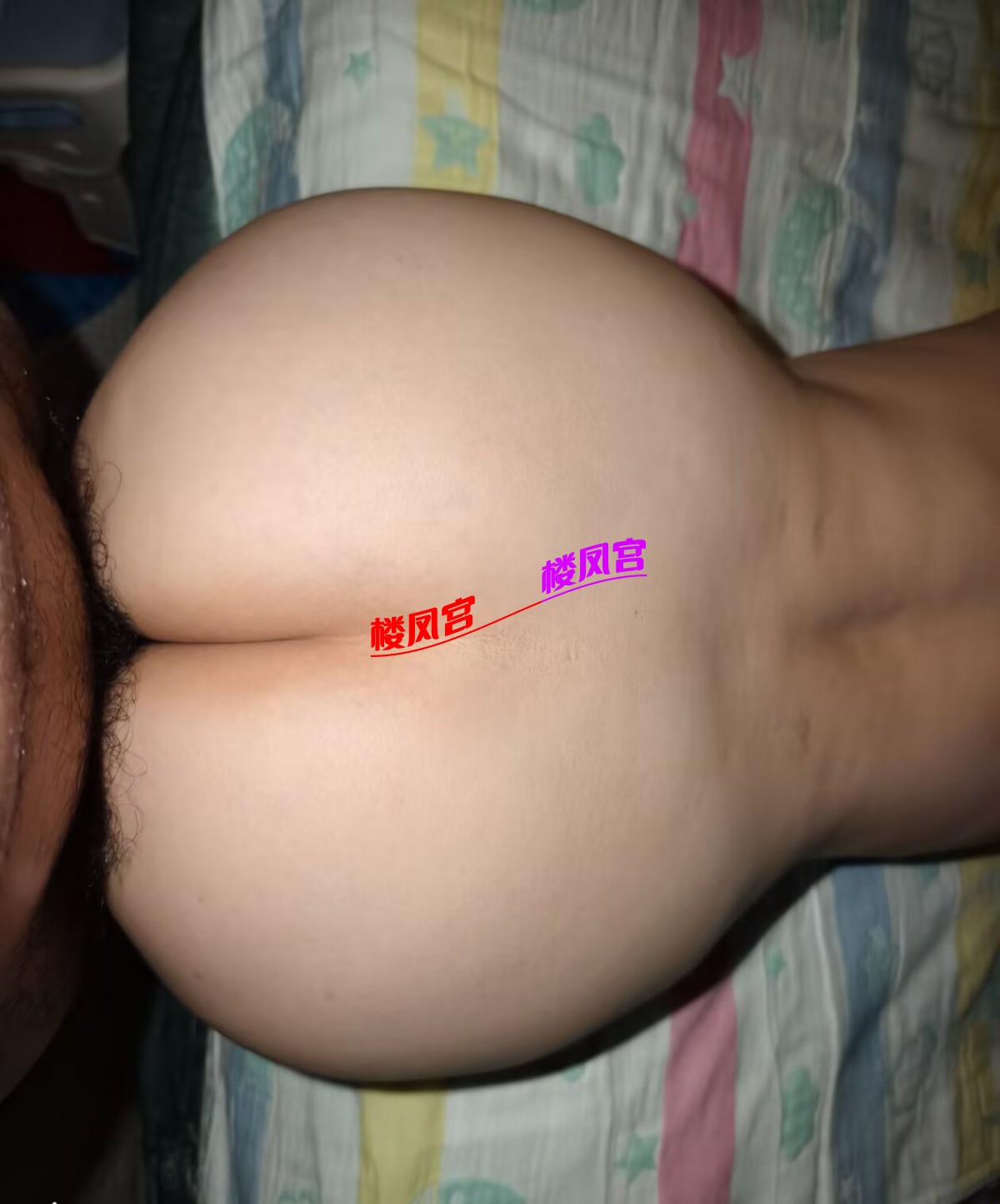 1000054802.jpg