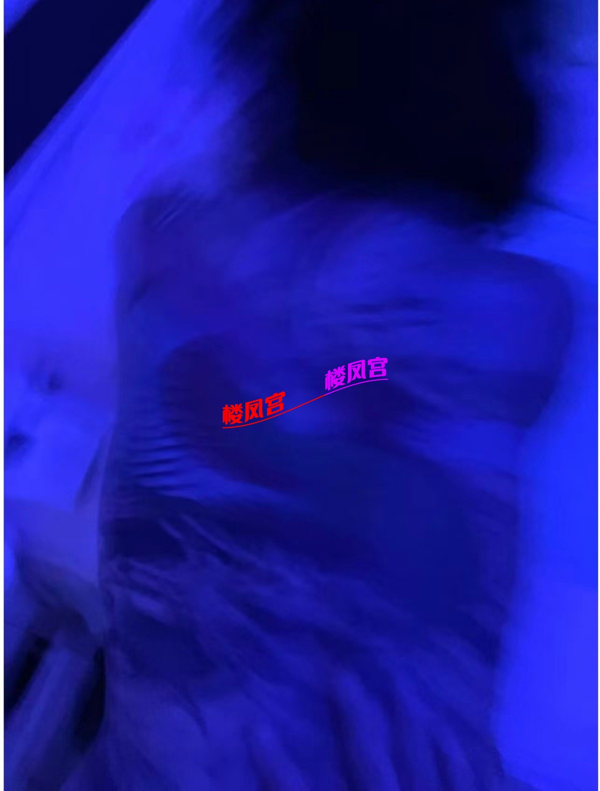 1000001020.jpg
