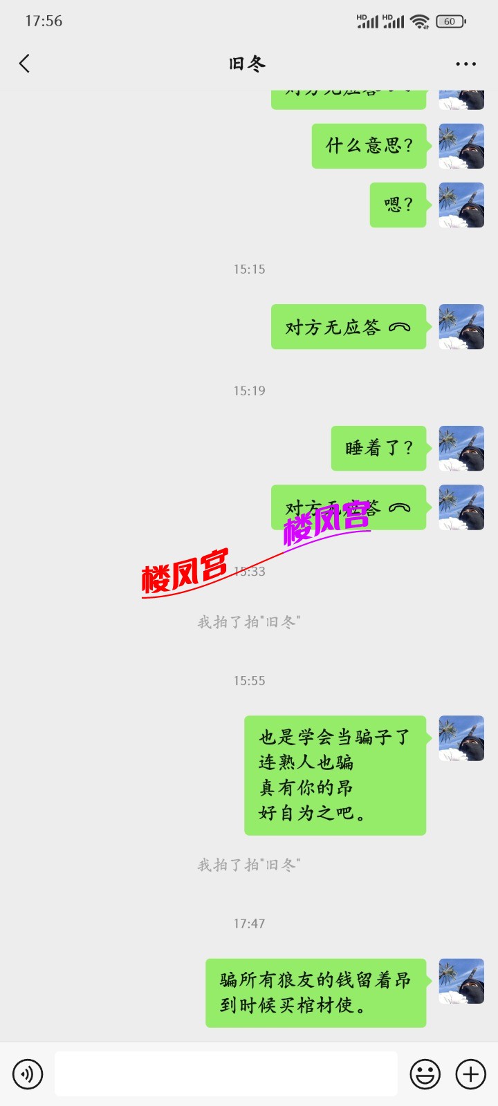 1000119539.jpg
