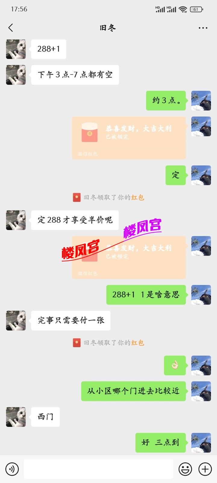 1000119536.jpg